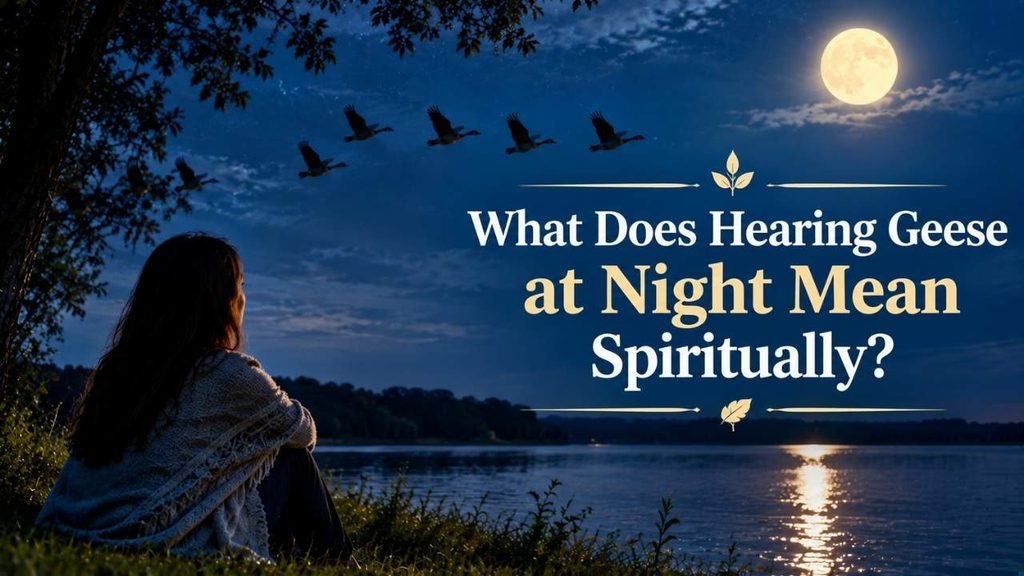 What Does Hearing Geese at Night Mean Spiritually?